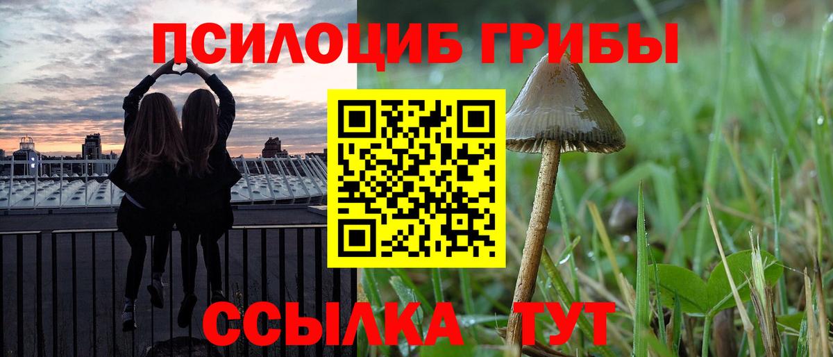 Гудермес  Псилоцибиновые грибы мухоморы  Вход с VPN 