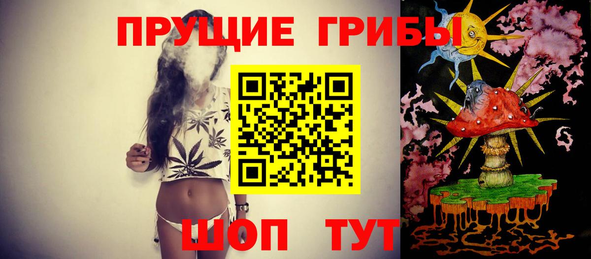 Галлюциногенные грибы Cubensis Гудермес